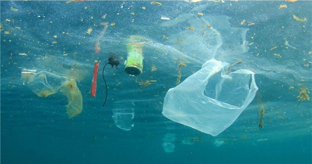 Say No to Plastic Bags