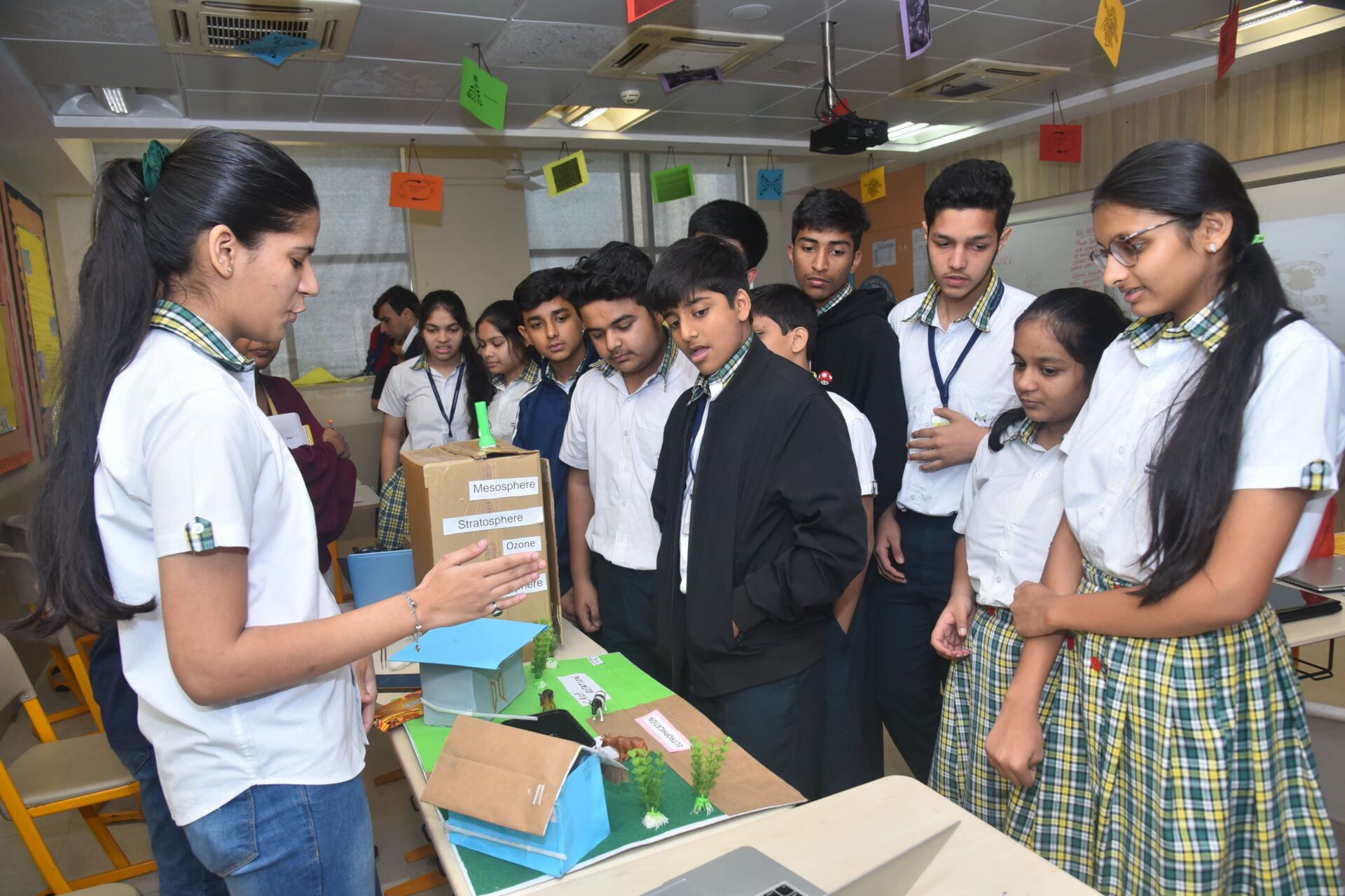 Curriculum Overview